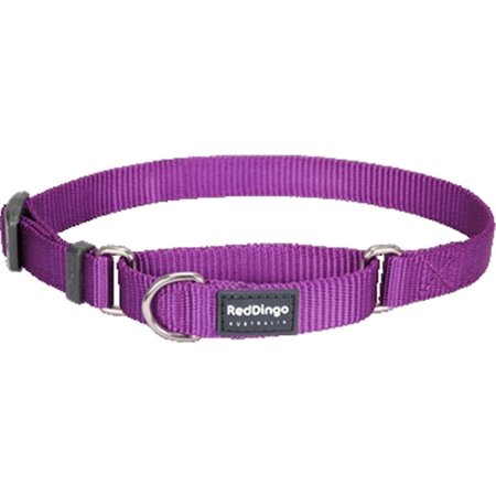RED DINGO Martingale Dog Collar Classic Purple, Small RE437176